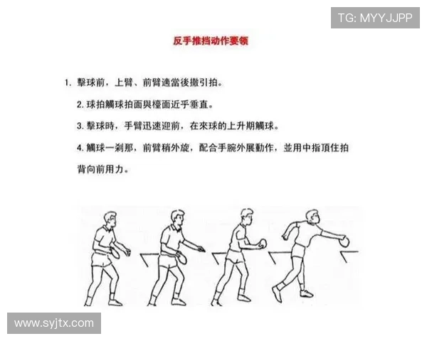 刘丽独家揭秘乒乓球技巧与心得分享助你提升球技的秘诀